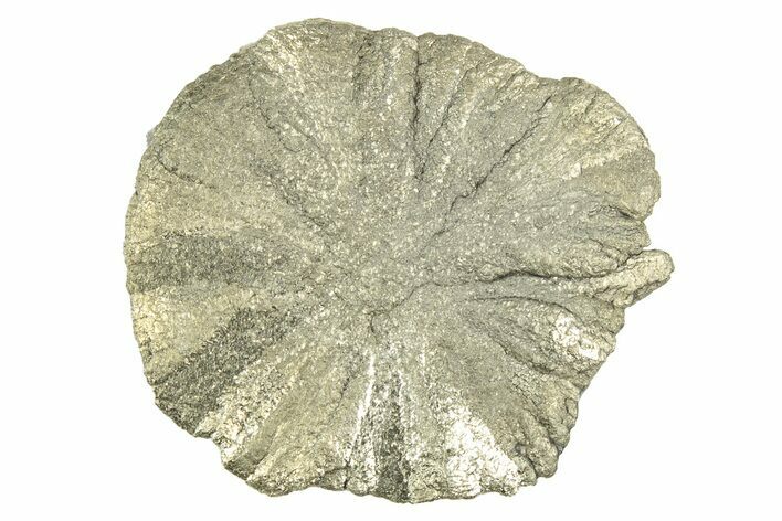 Radiant Pyrite Sun - Sparta, Illinois #342583
